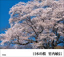 日本の桜/竹内敏信【3000円以上送料無料】