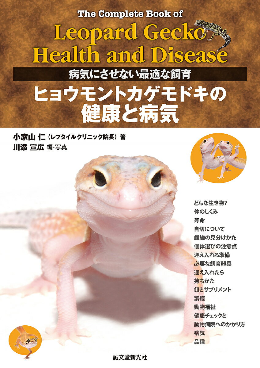 ヒョウモントカゲモドキの健康と病気 病気にさせない最適な飼育