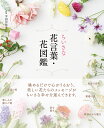 ちいさな花言葉・花図鑑/宇田川佳子【3000円以上送料無料】