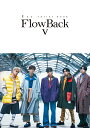 FlowBack V(ヴィーディ-) 1st ARTIST BOOK【3000円以上送料無料】