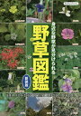 野草図鑑 身近な野草が見分けられる 日本の野草を季節ごとに網羅した野草図鑑の決定版!【3000円以上送料無料】