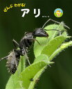 ぜんぶわかる!アリ/島田拓/子供/絵本【3000円以上送料無料】