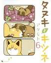 タヌキとキツネ 6/アタモト【3000円以上送料無料】