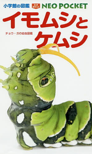 イモムシとケムシ チョウ・ガの幼虫図鑑／鈴木知之／・写真・幼虫飼育横田光邦／・写真・幼虫飼育筒井学【3000円以上送料無料】のサムネイル