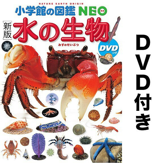 水の生物／白山義久／・執筆松沢陽士／楚山いさむ【3000円以上送料無料】