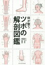体が整うツボの解剖図鑑/福辻鋭記【3000円以上送料無料】
