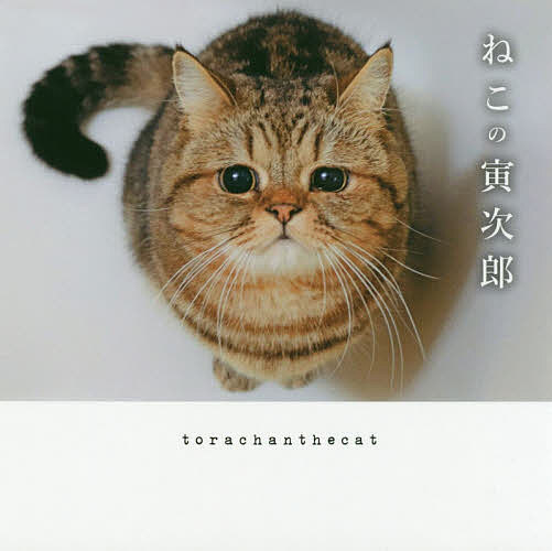 ねこの寅次郎／torachanthecat【3000円以上送料無料】