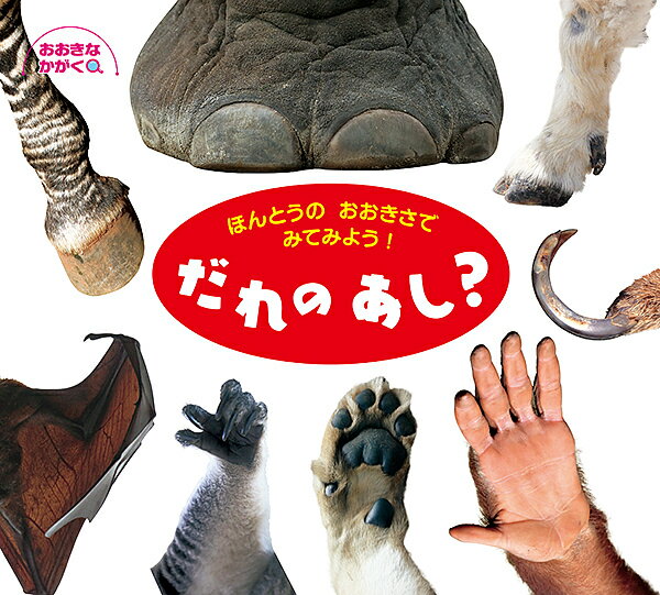 だれのあし? ほんとうのおおきさでみてみよう!／子供／絵本【3000円以上送料無料】のサムネイル