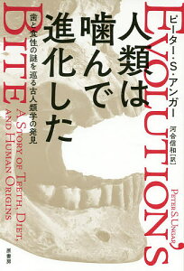人類は噛んで進化した 歯と食性の謎を巡る古人類学の発見／ピーター・S・アンガー／河合信和【3000円以上送料無料】