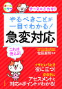 やるべきことが一目でわかる!急変対応 ナースのミカタ!/佐藤憲明【3000円以上送料無料】