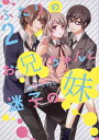 ふたりのお兄ちゃんと迷子の妹 2/はやせれく【3000円以上送料無料】
