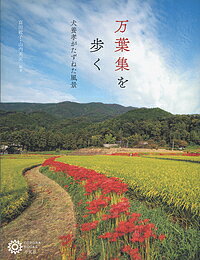 万葉集を歩く 犬養孝がたずねた風景／富田敏子／山内英正／旅行【3000円以上送料無料】