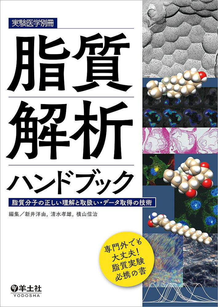 楽天市場】新編 画像解析ハンドブックの通販 楽天市場】新編 画像解析ハンドブックの通販