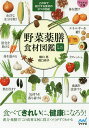 マイナビ文庫 101