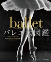 バレエ大図鑑/ヴィヴィアナ・デュランテ/森菜穂美/佐々木紀子【3000円以上送料無料】
