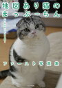 地図あり猫のまっぷーちんファースト写真集 「ねこ休み展」スピンオフ公認!/まぷこ&まぷお/BACON【3000円以上送料無料】