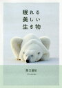 眠れる美しい生き物/関口雄祐【3000円以上送料無料】