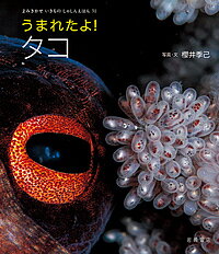 うまれたよ!タコ／櫻井季己【3000円以上送料無料】