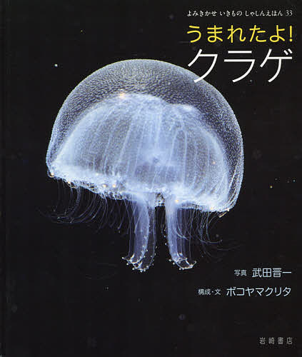 うまれたよ!クラゲ／武田晋一／ボコヤマクリタ【3000円以上送料無料】のサムネイル