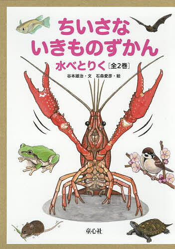 著者谷本雄治(ほか文)出版社童心社発売日2019年06月ISBN9784494045372キーワードプレゼント ギフト 誕生日 子供 クリスマス 子ども こども ちいさないきものずかんみずべとりく チイサナイキモノズカンミズベトリク たにも...