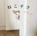 ねこチラ/パイインターナショナル【3000円以上送料無料】