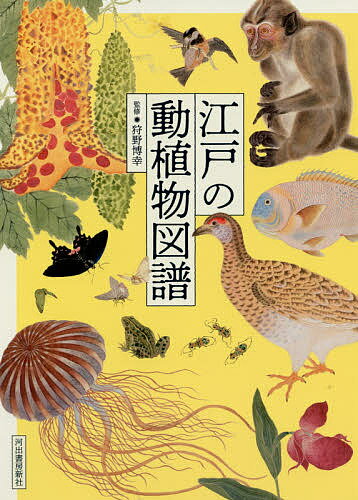 江戸の動植物図譜 新装版／狩野博幸【3000円以上送料無料】