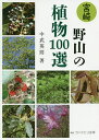 宮崎野山の植物100選/中武英則【3000円以上送料無料】