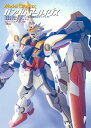 ガンダムアーカイヴス 『機動武闘伝Gガンダム』『新機動戦記ガンダムW』『機動新世紀ガンダムX』編/月刊モデルグラフィックス【3000円以上送料無料】