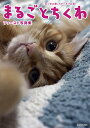 まるごとちくわファースト写真集 「ねこ休み展」スピンオフ公認!/このこのちくわ【3000円以上送料無料】