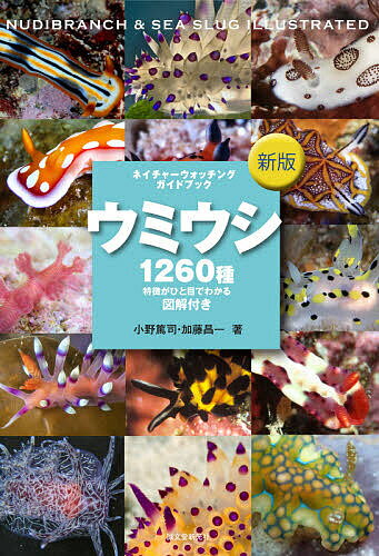 ウミウシ 特徴がひと目でわかる図解付き 1260種／小野篤司／加藤昌一【3000円以上送料無料】