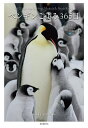 ペンギンごよみ365日 愛くるしい姿に出会う癒やしの瞬間/水口博也/長野敦【3000円以上送料無料】