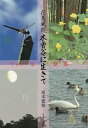花鳥風月木曽谷に生きて フォト句歌集/坂本覺雅【3000円以上送料無料】