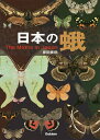 日本の蛾/岸田泰則【3000円以上送料無料】