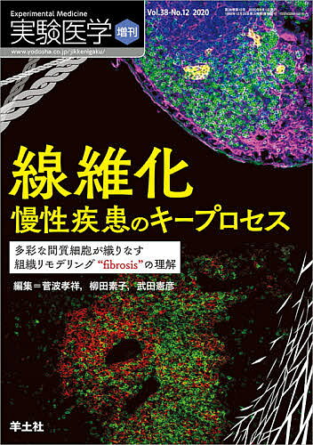 Medicine - 【3千円以上送料無料】実験医学 Vol.38-No.12(2020増刊)