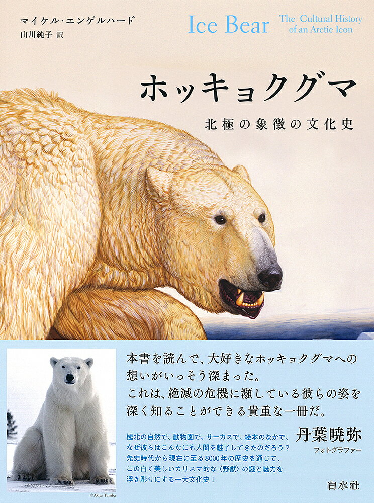 ホッキョクグマ 北極の象徴の文化史／マイケル・エンゲルハード／山川純子