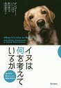 イヌは何を考えているか 脳科学が明らかにする動物の気持ち/グレゴリー・バーンズ/野中香方子/西村美佐子【3000円以上送料無料】