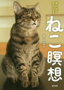 ねこ瞑想 毎日5分ねこになる/前田理子【3000円以上送料無料】