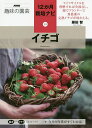 イチゴ/藤田智【3000円以上送料無料】