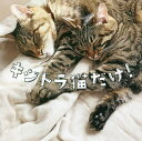 キジトラ猫だけ!/「キジトラ猫だけ!」編集チーム【3000円以上送料無料】