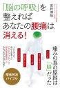 「脳の呼吸」を整えればあなたの腰痛は消える! 痛みの真の原因は「脳」だった/宮野博隆【3000円以上送料無料】