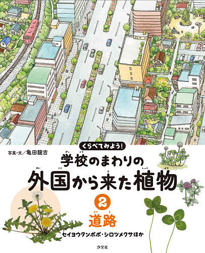 くらべてみよう!学校のまわりの外国から来た植物 2／亀田龍吉【3000円以上送料無料】