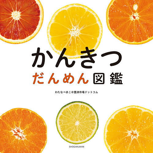 かんきつだんめん図鑑／わたなべまこ＠豊洲市場ドットコム／子供／絵本【3000円以上送料無料】