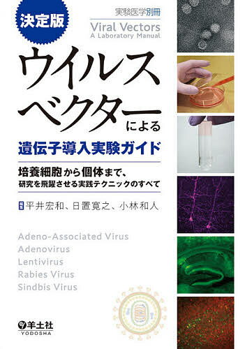 ウイルスベクターによる遺伝子導入実験ガイド 決定版 培養細胞から個体まで、研究を飛躍させる実践テクニックのすべて／平井宏和／日置寛之／小林和人【3000円以上送料無料】