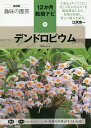 デンドロビウム/江尻宗一【3000円以上送料無料】