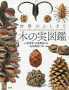 世界のふしぎな木の実図鑑/小林智洋/山東智紀/山田英春【3000円以上送料無料】