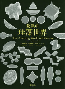 驚異の珪藻世界/出井雅彦/佐藤晋也/デイヴィッド・マン【3000円以上送料無料】