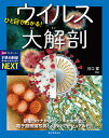 ひと目でわかる!ウイルス大解剖 新型コロナからインフルエンザまで電子顕微鏡写真とイラストでビジュアル化!/川口寧【3000円以上送料無料】