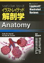 イラストレイテッド解剖学/KellyM.Harrell/RonaldW.Dudek/塩田浩平【3000円以上送料無料】