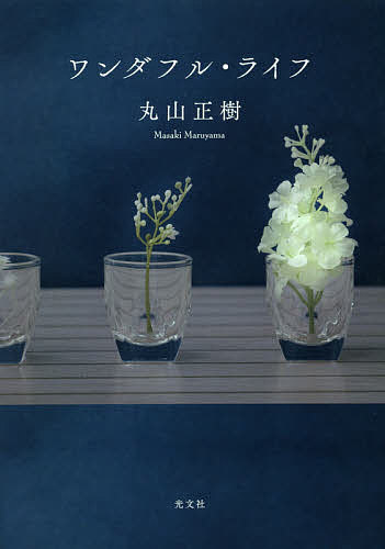 ワンダフル・ライフ／丸山正樹【3000円以上送料無料】のサムネイル