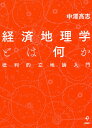 経済地理学とは何か 批判的立地論入門/中澤高志【3000円以上送料無料】